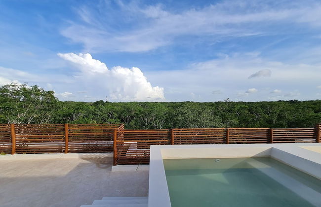 LUJOSO CON CENOTE EN LA SELVA DE TULUM - Photo 36