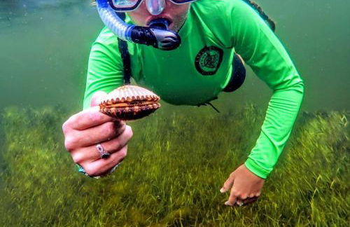 Old Homosassa Living! Seconds to all the action! - Foto 9