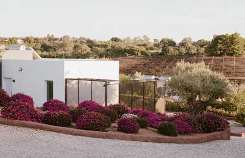 Quinta dos Vales Wine Estate - Foto 20