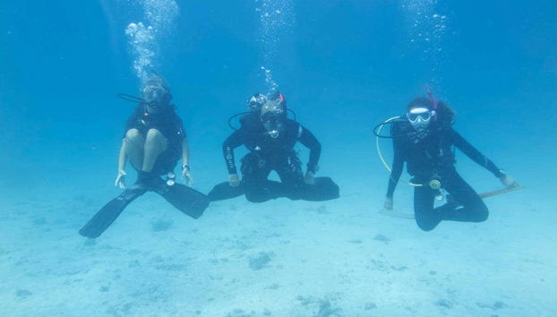PADI Open Water Diving Course in Koh Samui - Foto 2
