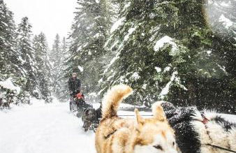 2 pièces cosy Saint-Lary- Vielle Aure - Foto 32