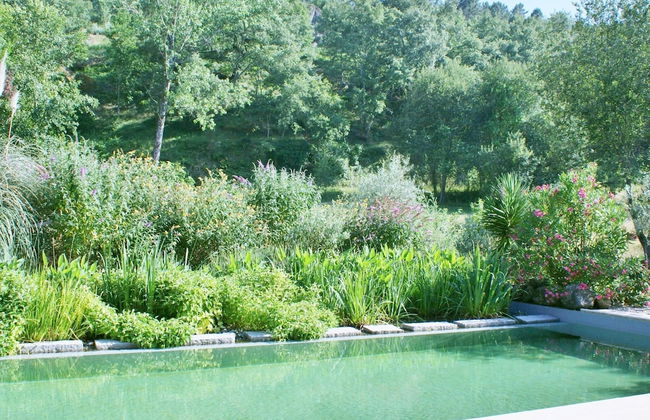 Holiday Home in Covas With Eco Pool - Foto 11