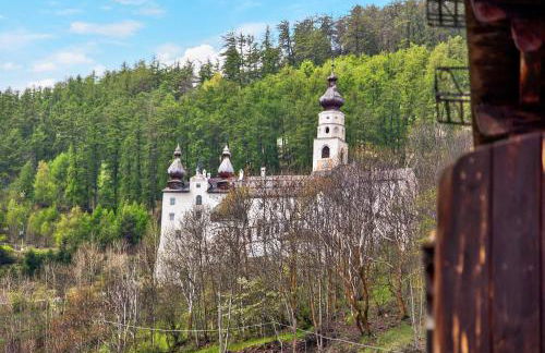 Ferienwohnungen Zwick Spinei - Foto 17