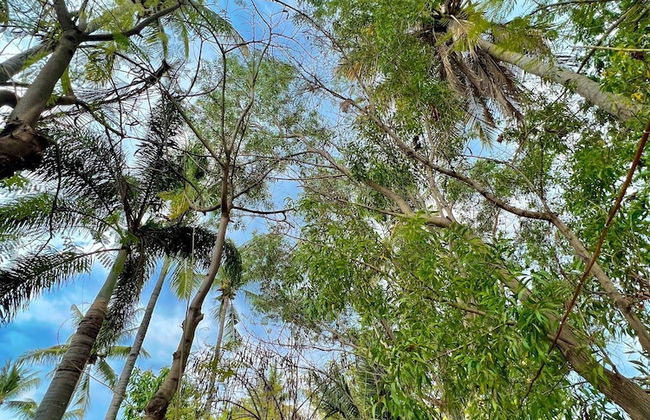 Villa Bulan Madu Gili Air - Photo 37