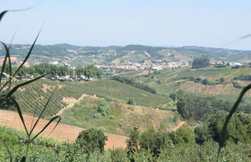 Villa in Casais de Santa Helena - Photo 40