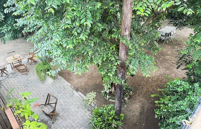 Quintal do Contêiner - Photo 20