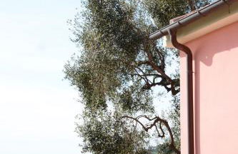 La Torretta - Foto 33