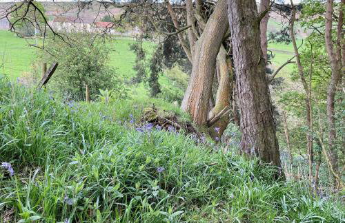 Church House Farm - Photo 101