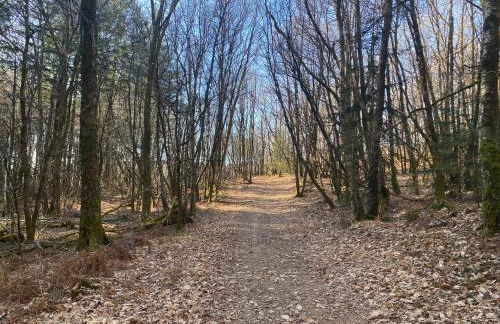 Belle Vue Gite - Foto 34