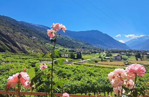 Una vetrina su Morgex - Foto 12