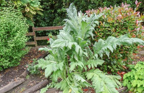 The Old Sweet Shop - Foto 47