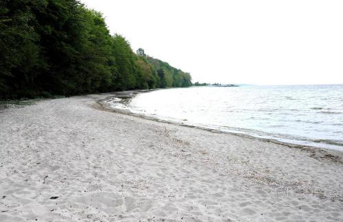 Ferienhaus Hendrikje - Foto 19