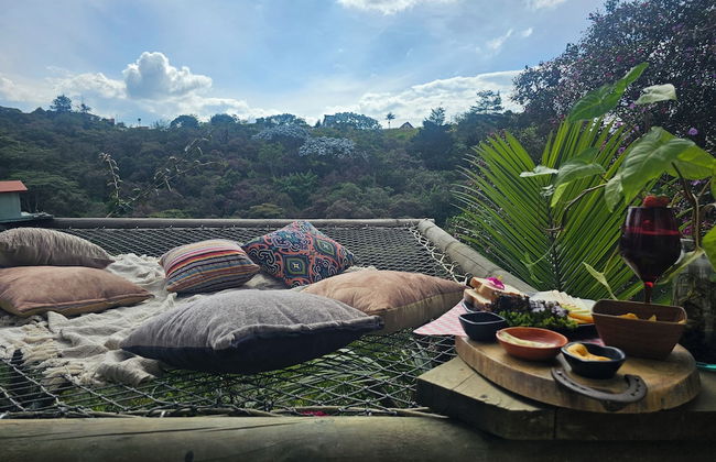 ecohotel zona 7 - Photo 51