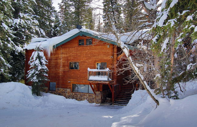 Log Cabin on the Stream - Photo 32