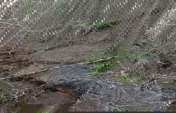 Cabañas Del Martial - Foto 75