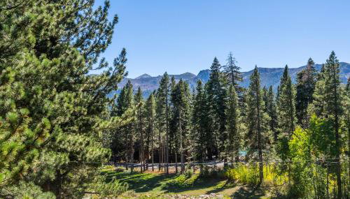 Mammoth Green #210 - Nearly Ski-in Ski-Out 2 Bedroom 2 Bath, Sleeps 6 on Golf Course - Foto 2