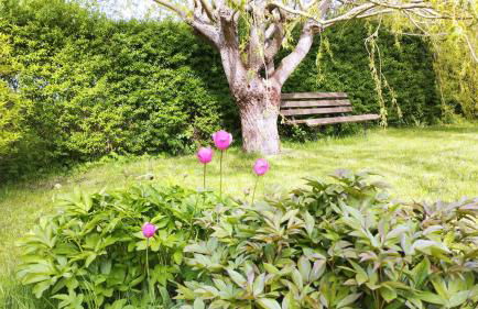 2 Ferienhäuser im Doppelpack für Naturliebhaber, strandnah, ruhig, mit großen Gärten - Foto 43