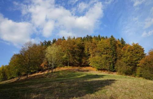 Family Comfort in Güntersberge - Foto 37