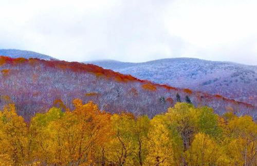 Meadow House Backcountry Residency - Foto 19