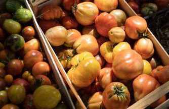 Boutique Hotel Poggio ai Santi - Adults Only - Foto 22