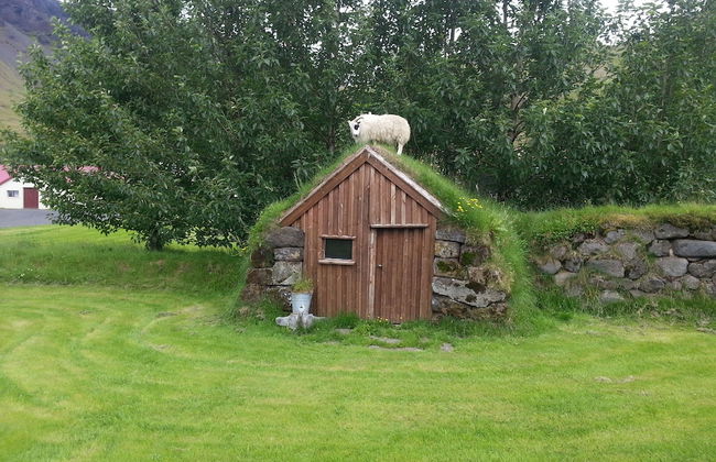 Ásólfsskáli Cottage - Foto 31