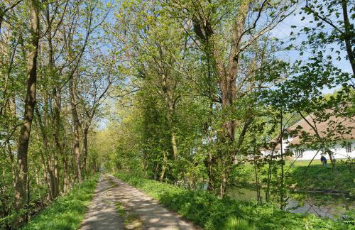 Pohns Warft - Foto 15