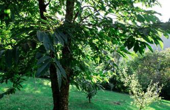 Complejo Turístico Rural A TORRE DE LAXE - Foto 80