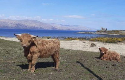 Ard Na Mara Self Catering Isle of Mull - Foto 9
