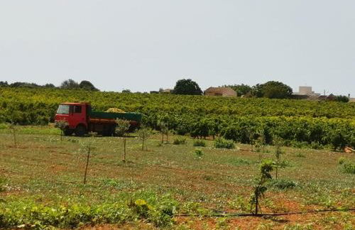 Casa Vacanze - Da Peppina - Foto 18