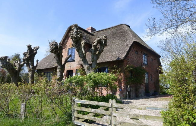 Apartment in Ettenheim - Foto 1