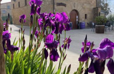 La Posada de Leza - Foto 41