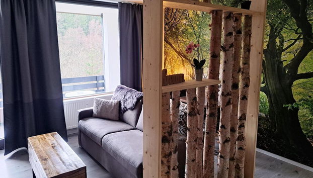 Studio in Winterberg Near Ski Slopes - Foto 4, Sala de estar