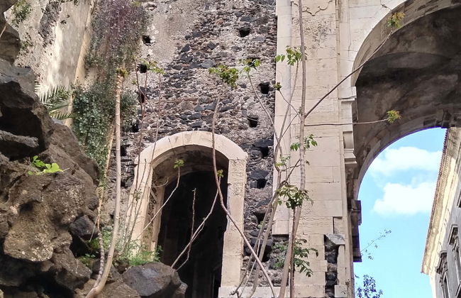 Visite à la découverte de l'Etna à Catane - Photo 1