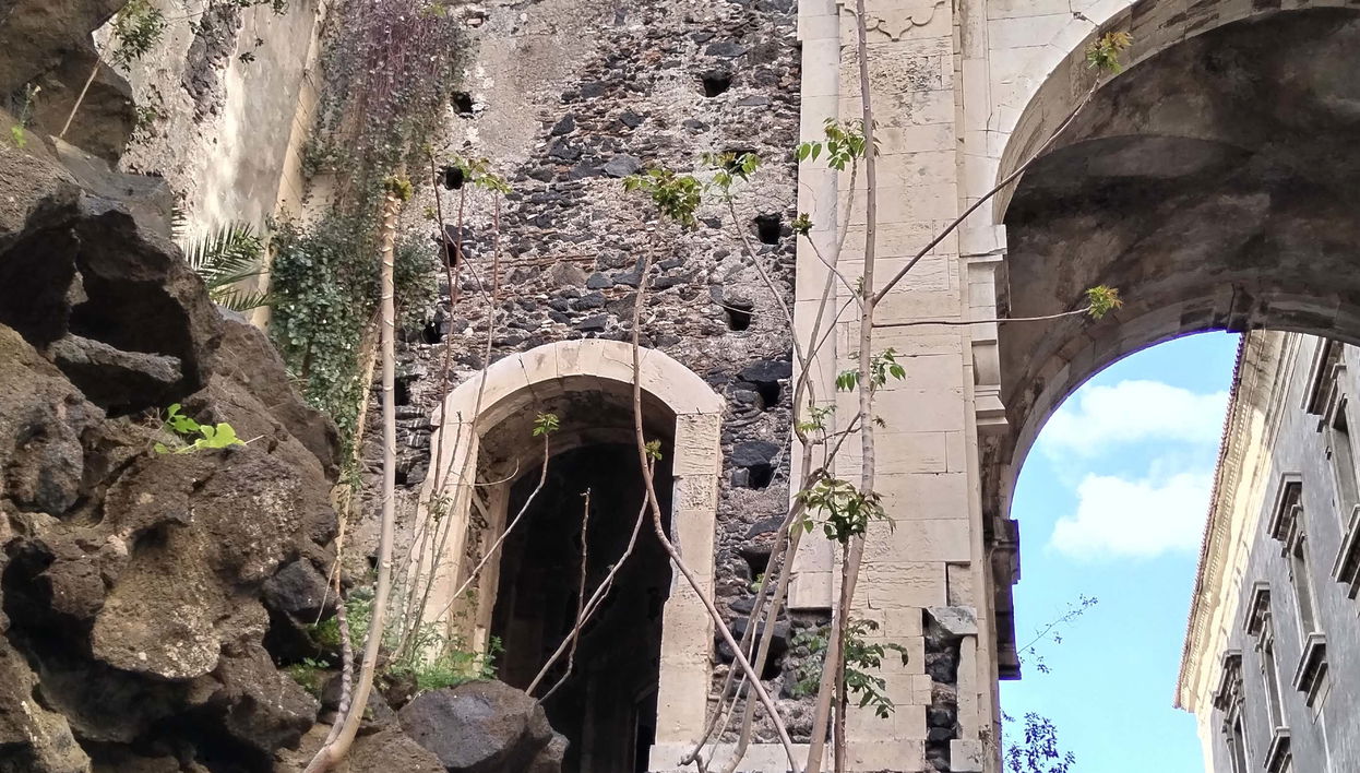 Tour de la erupción del Etna por Catania