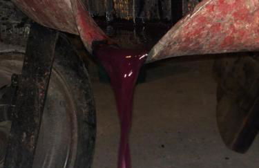 Agriturismo La Baita - Foto 78