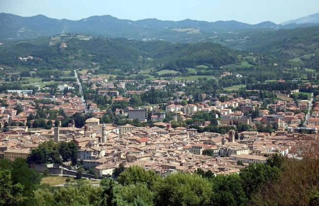 Pet-friendly Farmhouse - Foto 31