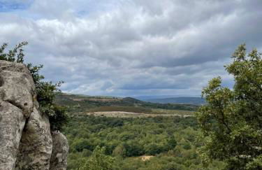 Casa do Terrado - Photo 19