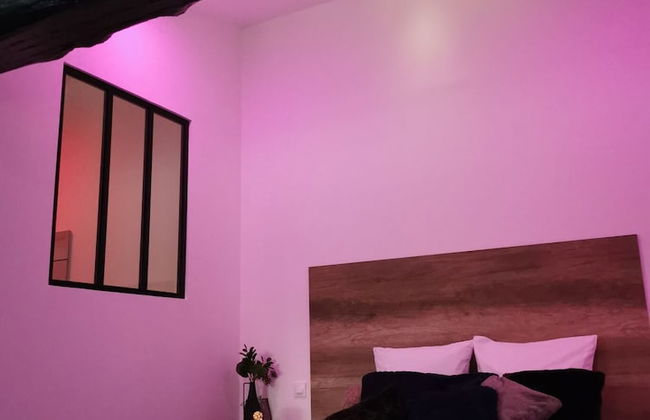 Les Sansonnets - Foto 4