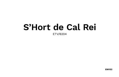 S'hort De Cal Rei - Photo 40
