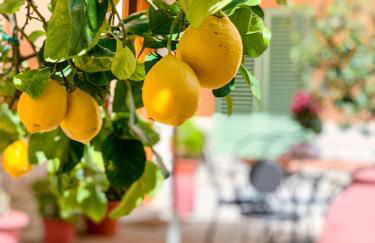 Cuore di Nozzano Castello - Foto 29