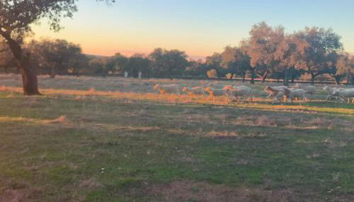 Casa Rural Abuela Remedios - Foto 5