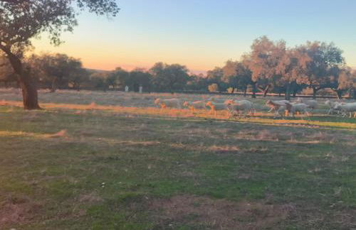 Casa Rural Abuela Remedios - Foto 5