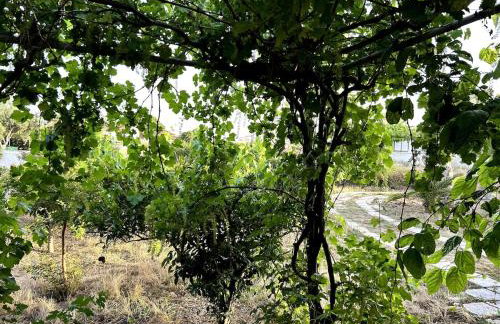 Rest & Relax holiday house in Katakolo - Foto 6