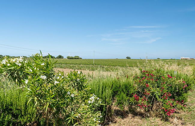 Villa Turin in Torino di Sangro - Foto 31