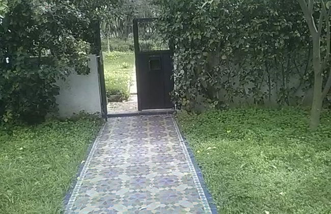 Villa Mimosa - Foto 13