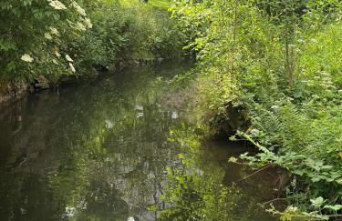 Eifel Apartment - Foto 7