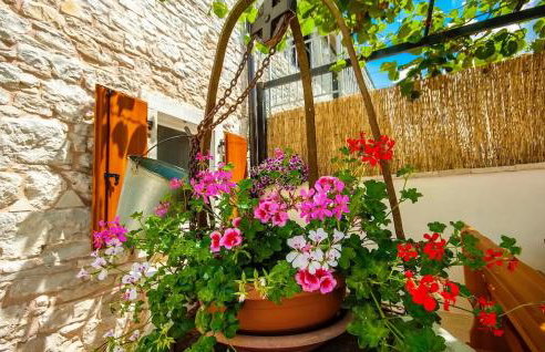 Villa Ivka - Foto 20