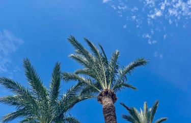 El casa KáMa - Photo 46