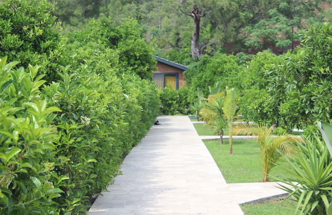 Cirali Villas Hotel Pansiyon - Foto 40