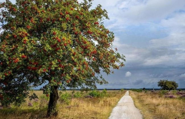 Holiday Home with Meadow View near Forests - Foto 26